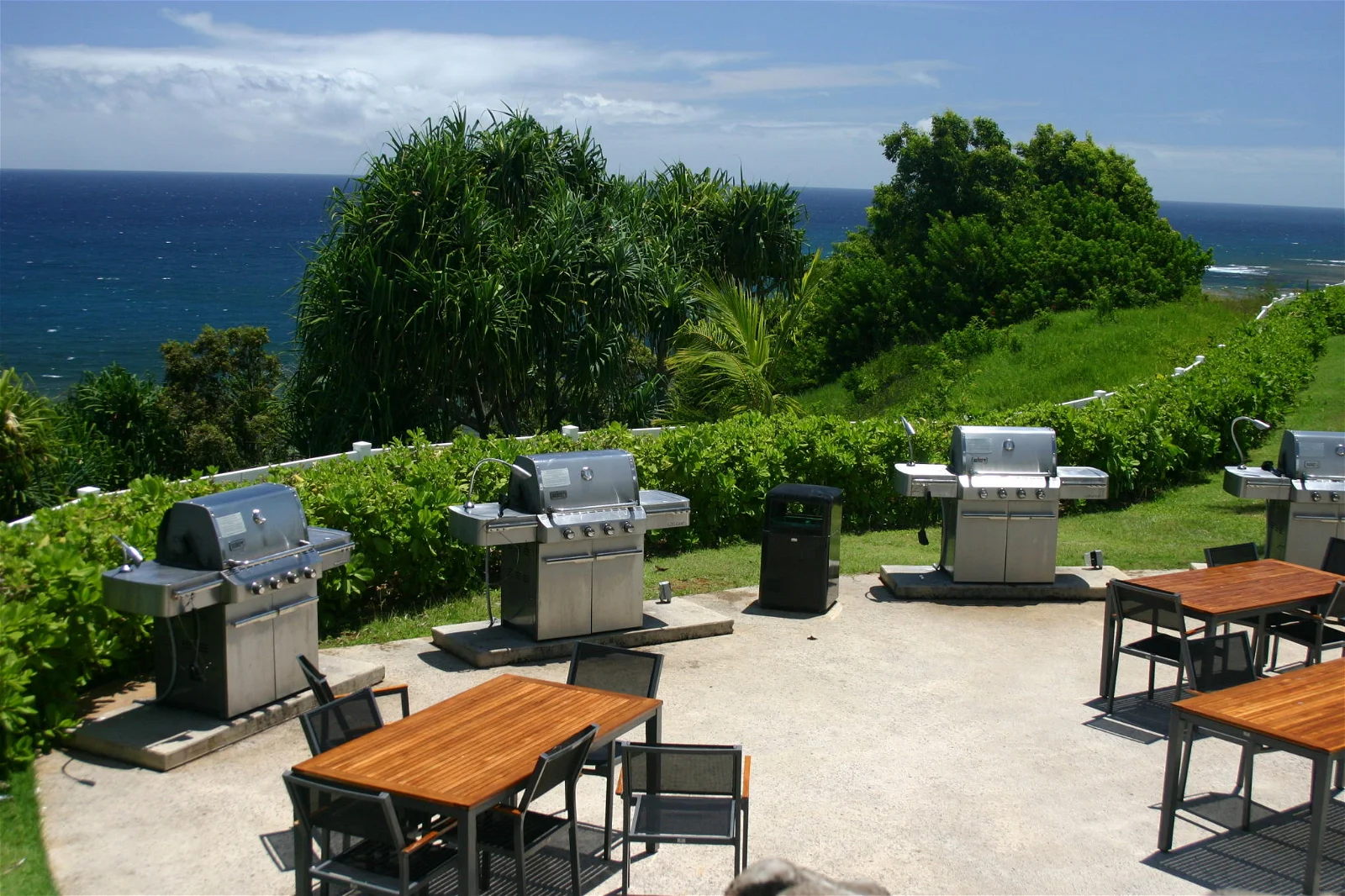 Barbecue Station