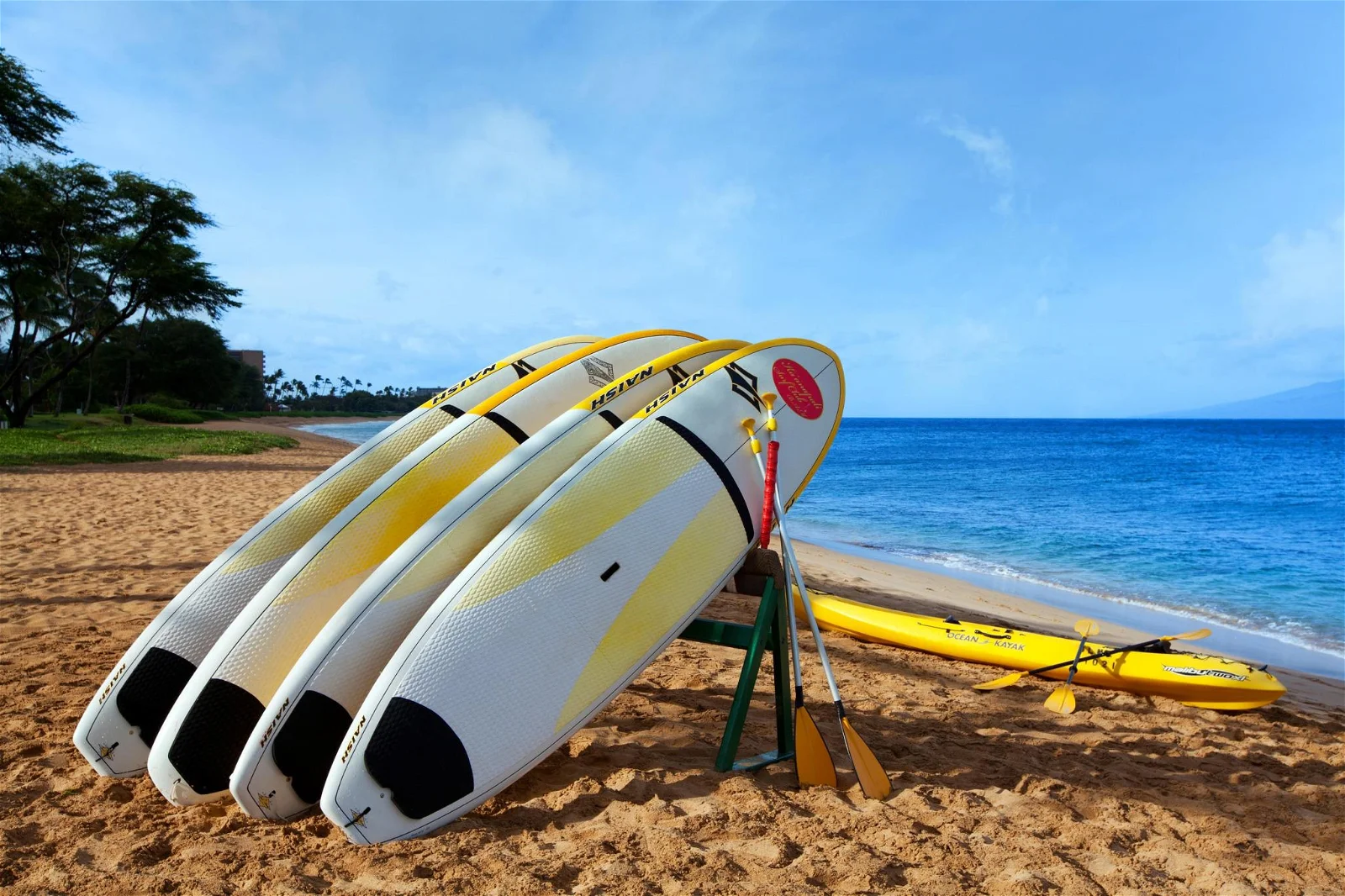 The Westin Kaanapali Ocean Resort Villas Surfing Lessons