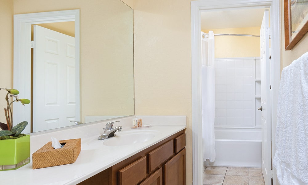 Bathroom with Tub