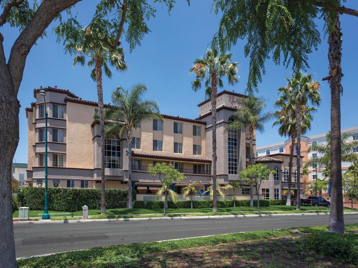 Shell Vacations Club Peacock Suites Outside View