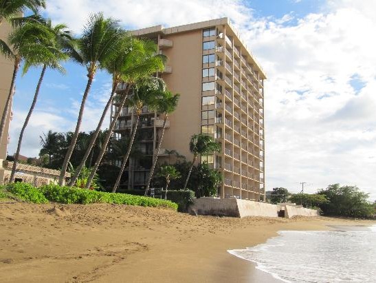 Sandy Beach View