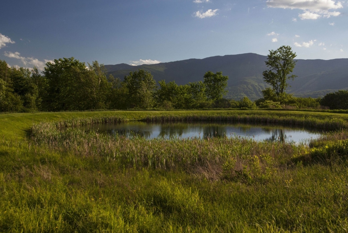 Nature View