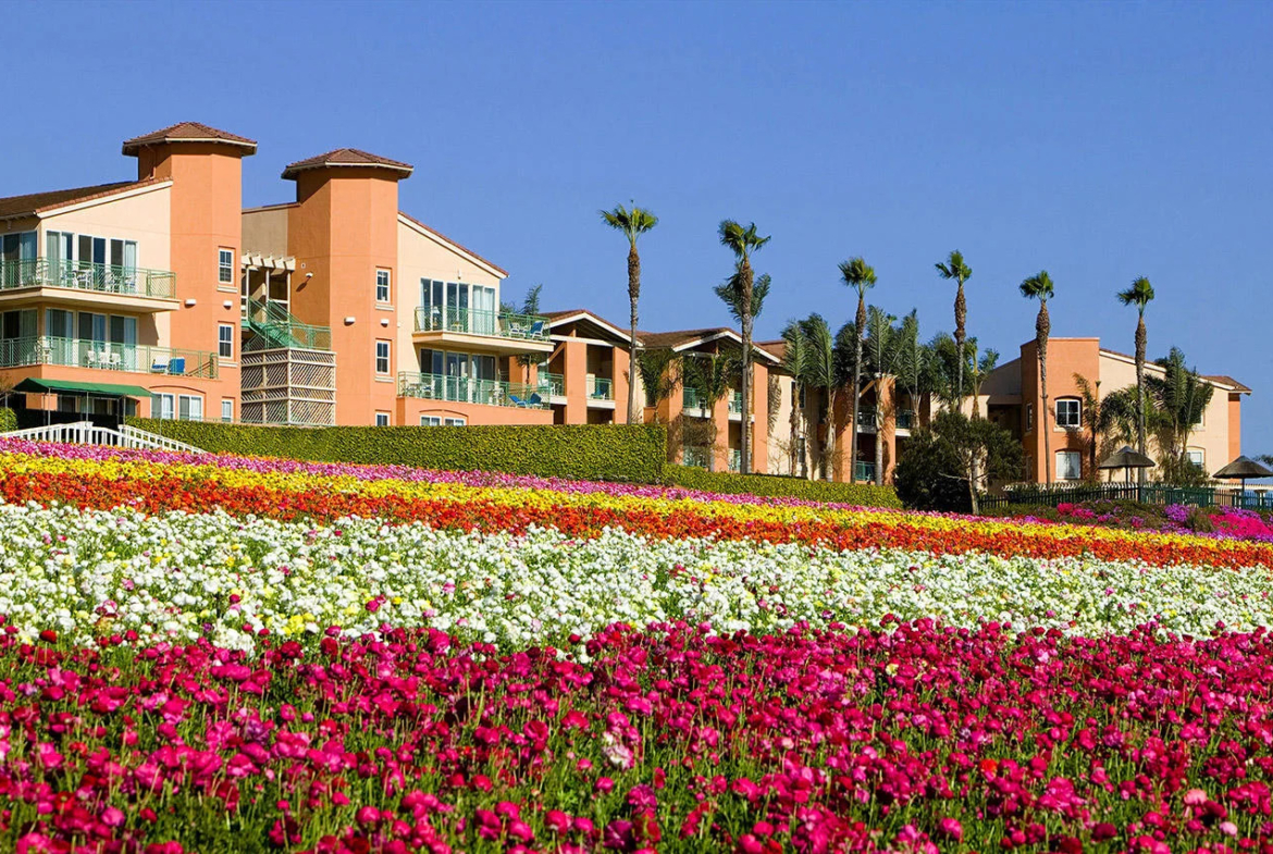 Grand Pacific Resorts Timeshare: Grand Pacific Palisades