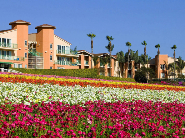 Grand Pacific Resorts Timeshare: Grand Pacific Palisades