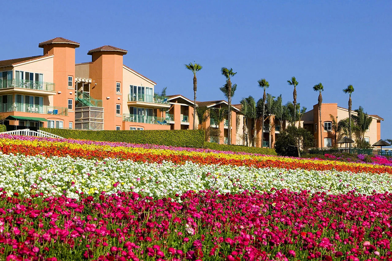 Grand Pacific Resorts Timeshare: Grand Pacific Palisades