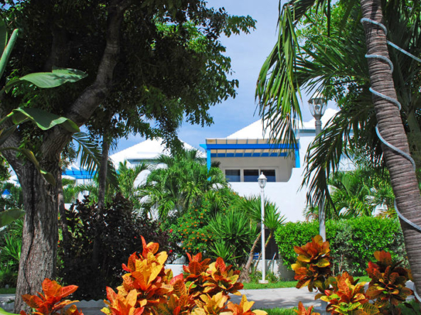 Resort Overview