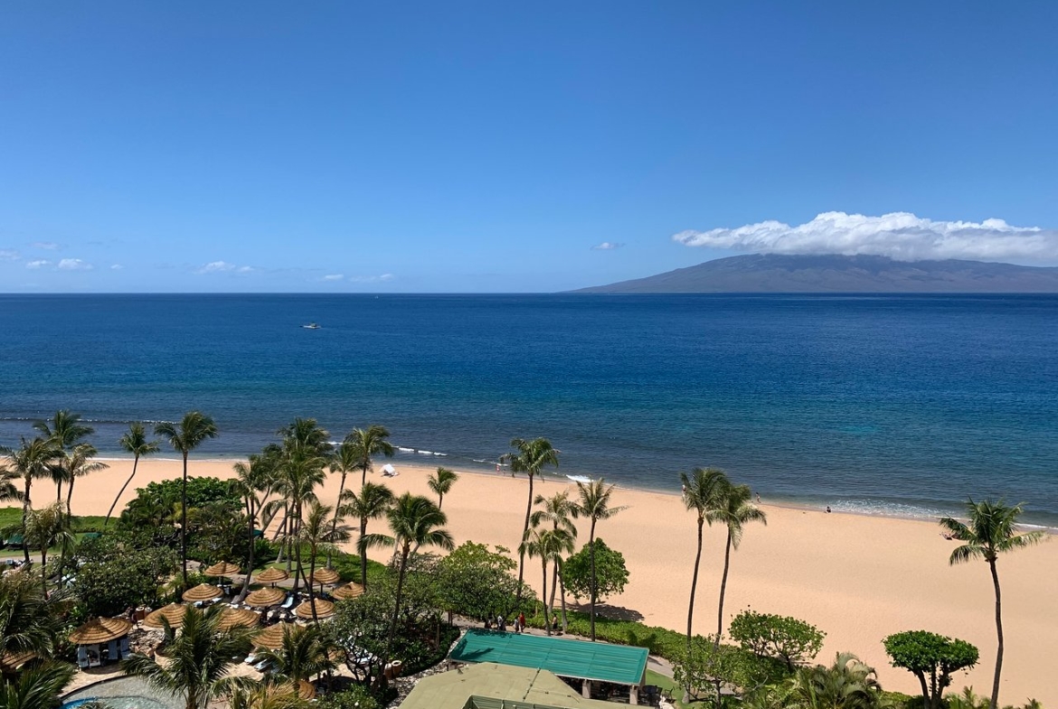 Beach Club View