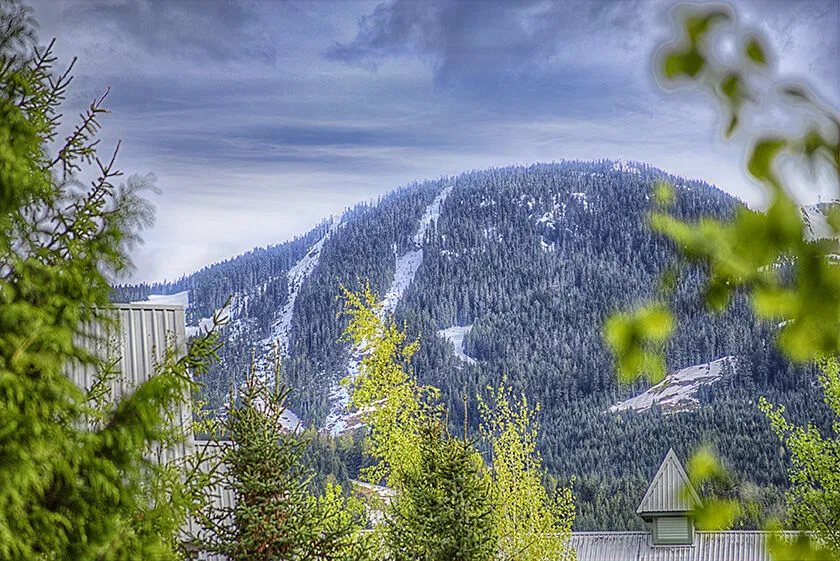 Whiski Jack At Northstar Views