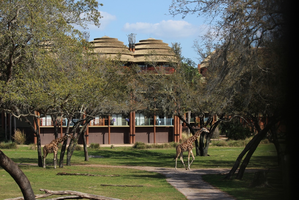 Disney's Animal Kingdom Villas - Kidani Village exterior