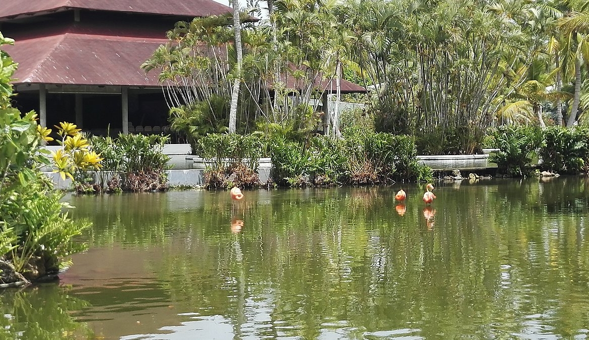 Royal Holiday Bavaro Princess