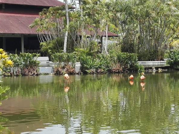 Royal Holiday Bavaro Princess