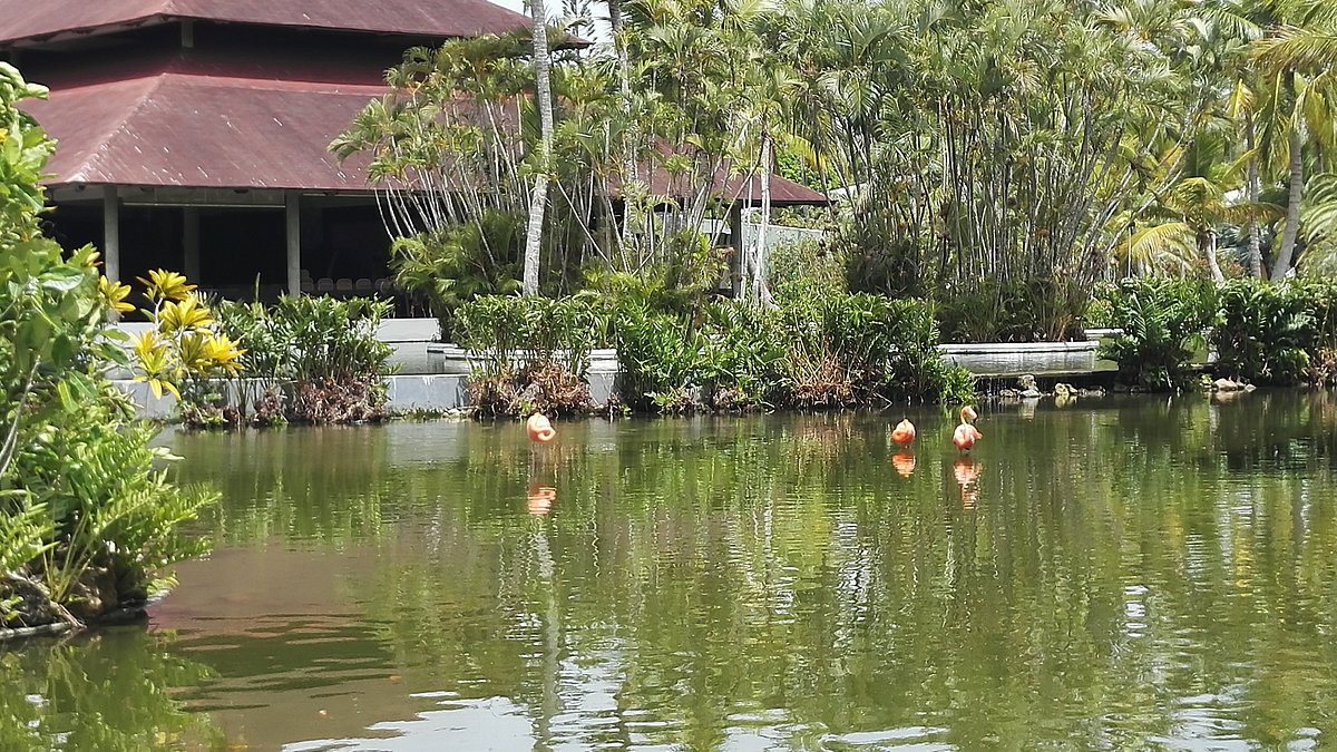 Royal Holiday Bavaro Princess