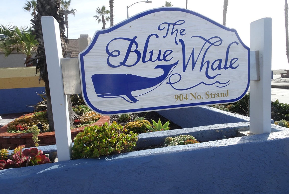 Blue Whale sign