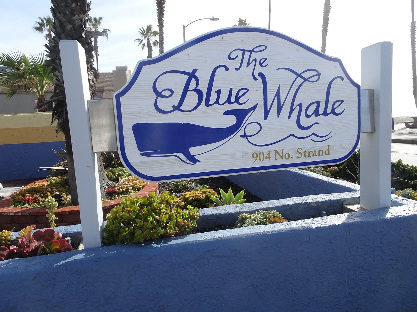 Blue Whale sign