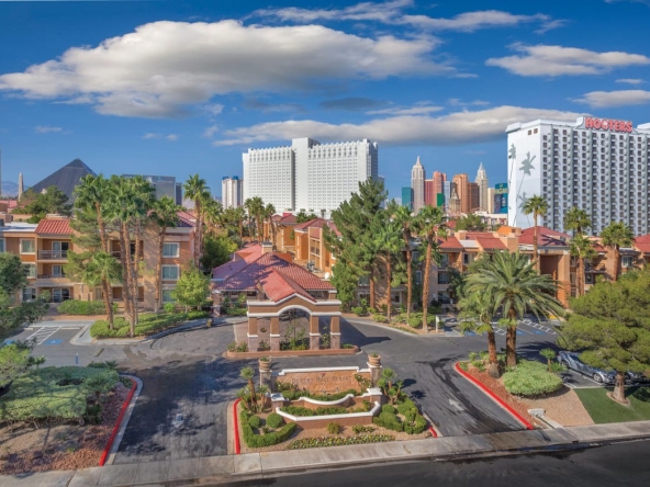 Shell Owners Club – Pacific Desert Rose