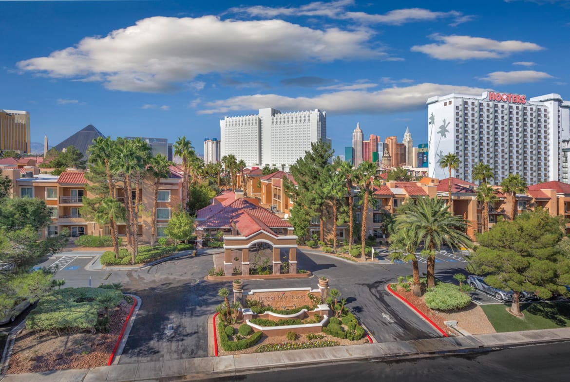 Shell Owners Club – Pacific Desert Rose