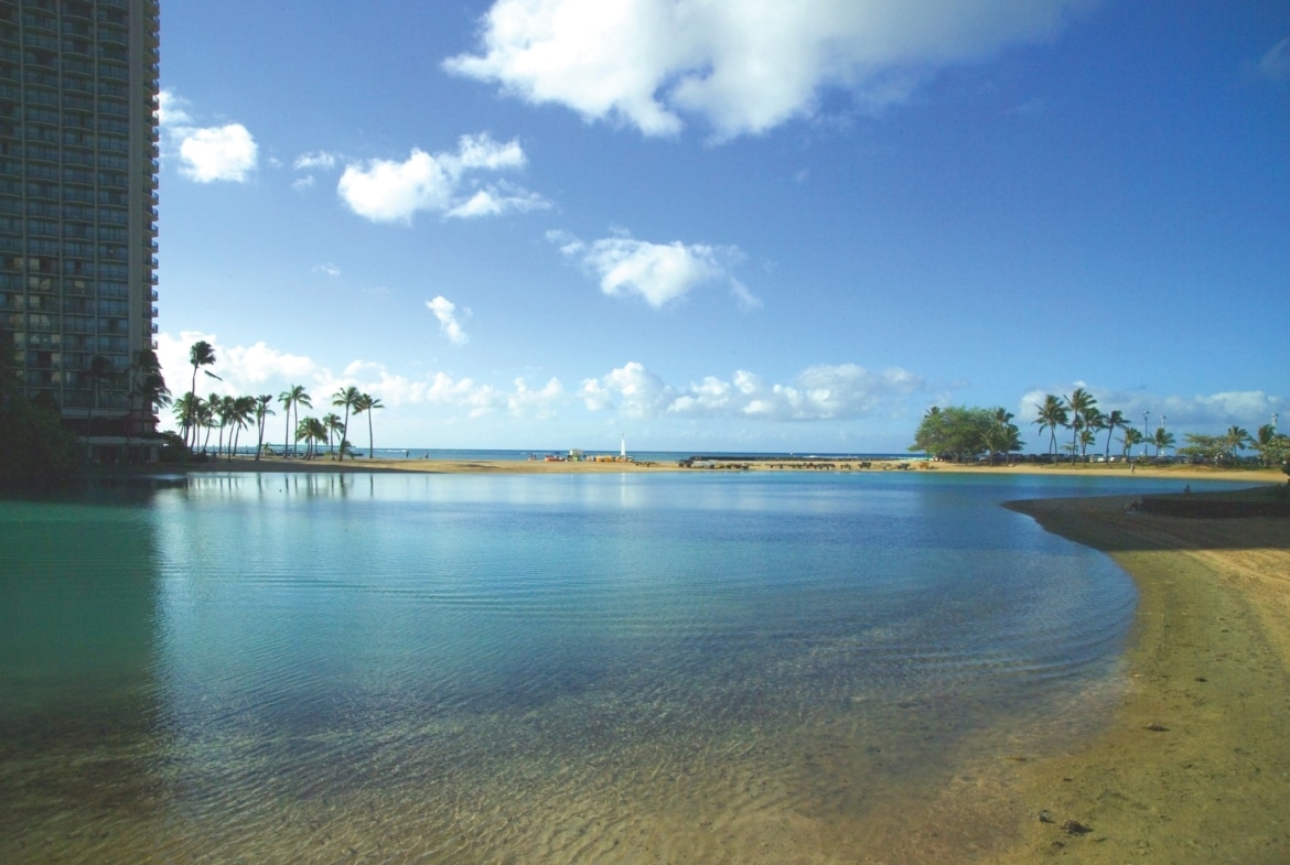 Shell Owners Club - Hawaii beach