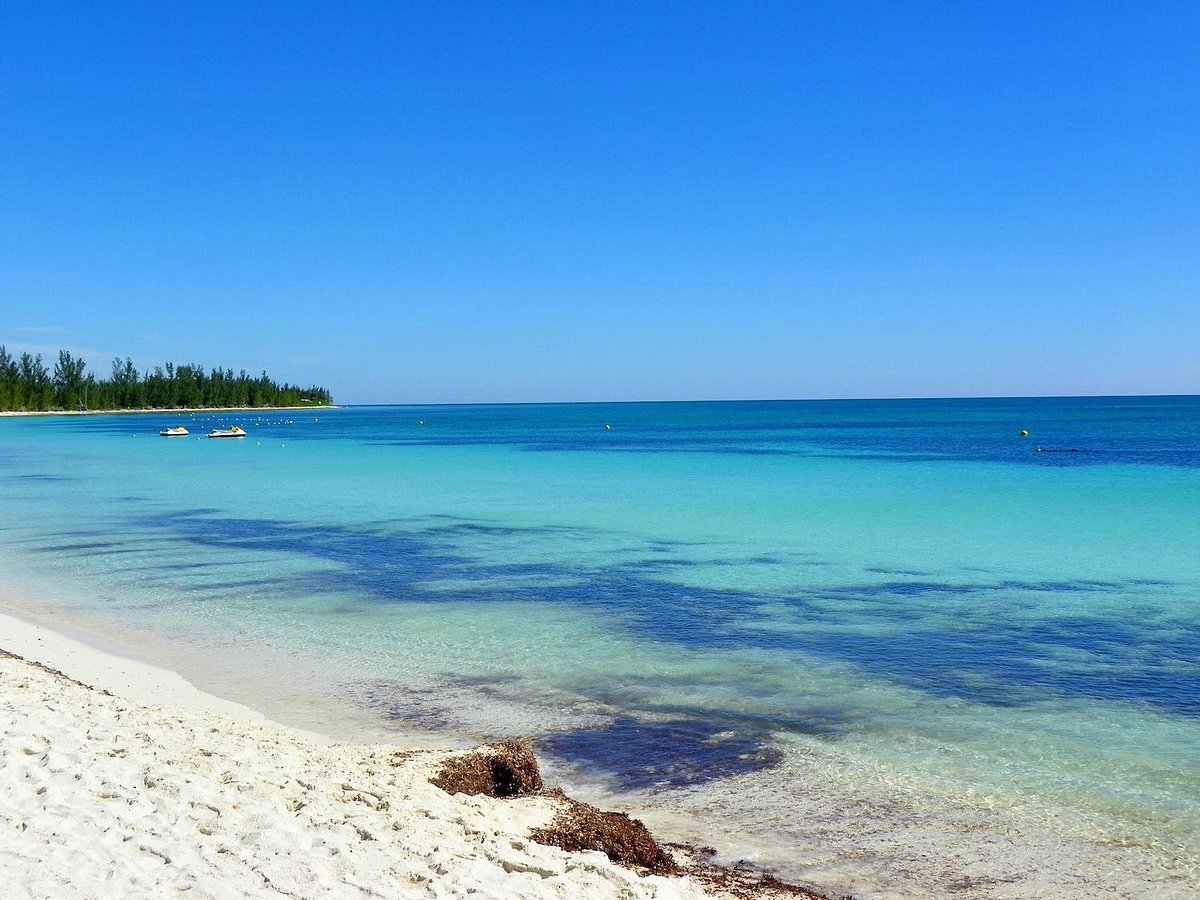 Beach: The Marlin At Taino Beach